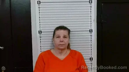 Mugshot of Nancy Clough booked in Scott County, Missouri on August 20, 2026