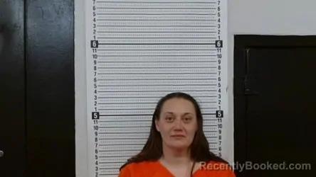 Mugshot of PENNY SUE ANDREW