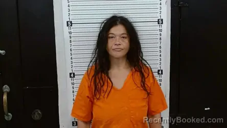 Mugshot of STACEY NICHOLE CRAIG booked in Scott County, Missouri on June 30, 2026