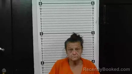 Mugshot of SUSAN RENEE MCCOMAS booked in Scott County, Missouri on July 8, 2026