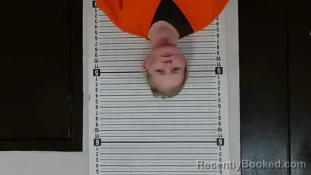 Mugshot of SARAH ANNE UMPHLETT