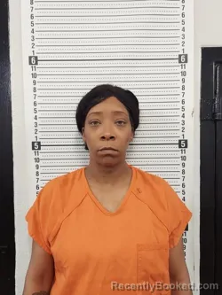 Booking photo from Scott County, Missouri