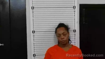 Mugshot of Taquisha Nicole Mckinney booked in Scott County, Missouri on September 8, 2026