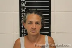 Mugshot of Janine Jill Heard booked in Stone County, Missouri on June 2, 2026
