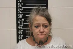 Mugshot of Michelle Lynn Williams