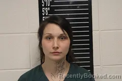 Booking photo from Stone County, Missouri