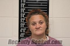 Booking photo from Stone County, Missouri