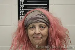 Mugshot of Victoria Carolina Drake