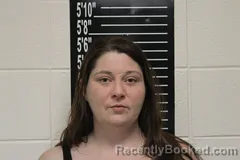 Booking photo from Stone County, Missouri