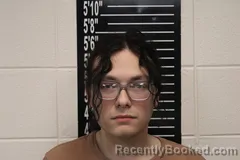 Mugshot of Levi Walker Bradfield