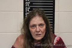 Mugshot of Janet Dee Armstrong