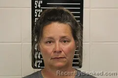 Mugshot of Elizabeth Michele Briggs booked in Stone County, Missouri on May 2, 2026