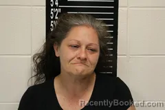 Mugshot of Brandy Lynn Mcclain booked in Stone County, Missouri on June 5, 2026