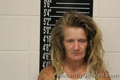 Mugshot of Jennifer Renae Self booked in Stone County, Missouri on July 26, 2026
