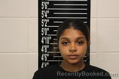 Mugshot of Shyann Renea Brown booked in Stone County, Missouri on August 18, 2026