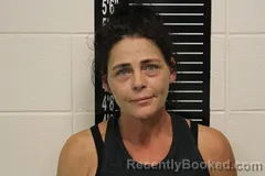 Mugshot of Sara Leann Barr booked in Stone County, Missouri on August 22, 2026