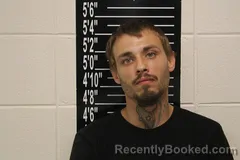 Mugshot of Tonee Lee Bryan booked in Stone County, Missouri on October 22, 2026