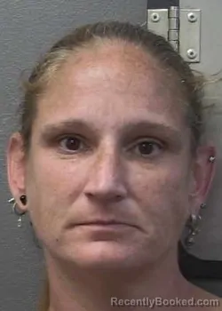 Mugshot of EDITH ELAINE ASH booked in Gulf County, Florida on April 6, 2026