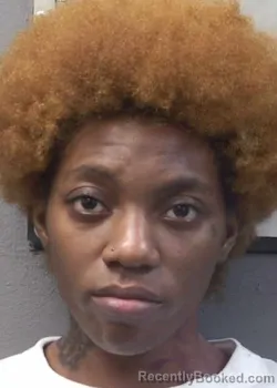 Mugshot of Dominique Jacquline Fortune booked in Gulf County, Florida on September 14, 2026