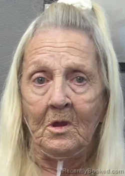 Mugshot of DONNA SUE HILLIARD booked in Gulf County, Florida on March 25, 2026