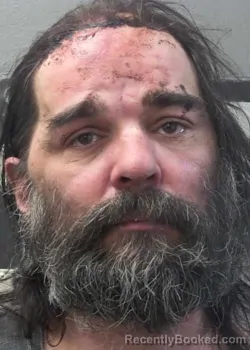 Mugshot of BRIAN ALEXANDER LEFIN