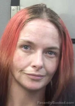 Mugshot of TRISHA LEA RICHARDSON booked in Gulf County, Florida on April 23, 2026