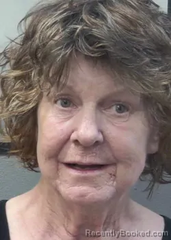 Mugshot of DIANA LYNNE SATTERFIELD booked in Gulf County, Florida on April 6, 2026