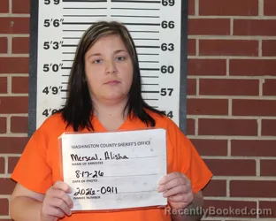 Booking photo from Washington County, Missouri