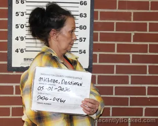 Mugshot of MICHELLE LEA DESSIEUX booked in Washington County, Missouri on April 6, 2026