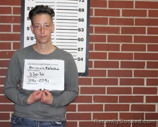 Mugshot of NATASHA RENEE BROSHUIS