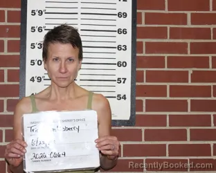 Mugshot of TRICIA ANN GOLDSBERRY booked in Washington County, Missouri on June 22, 2026