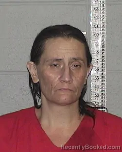 Mugshot of Jennifer Lynn Moore booked in Flathead County, Montana on August 24, 2026