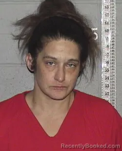 Mugshot of Tiffany Lynn Neskey-Boles booked in Flathead County, Montana on August 21, 2026