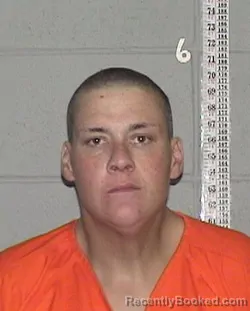 Mugshot of Dominic Michael Lee booked in Flathead County, Montana on August 19, 2026