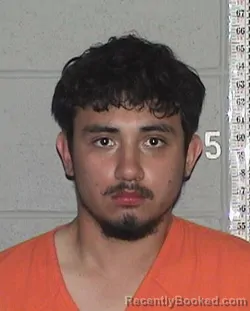 Mugshot of ANGEL ELISEO CASTILLO booked in Flathead County, Montana on July 1, 2026