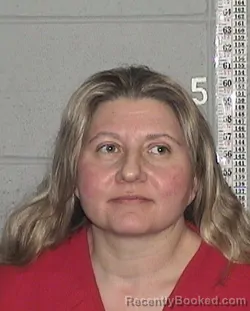 Mugshot of ALISON ANN LYNCH