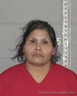 Mugshot of BILLIE JO DAWN BLACKMAN booked in Flathead County, Montana on March 25, 2026