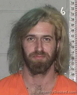 Mugshot of BRYAN ALLEN SPARKS