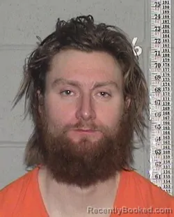 Mugshot of BLAKE SAMUEL YOUNG