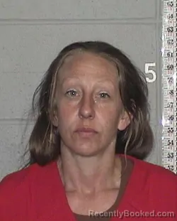 Mugshot of CRYSTAL NICOLE CLARK