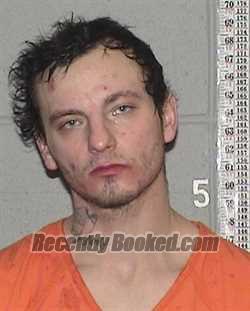 Booking photo from Flathead County, Montana