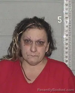 Mugshot of CISSY ANGELA SINDT booked in Flathead County, Montana on March 10, 2026