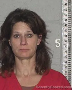 Mugshot of DONNA DEE BADEWITZ