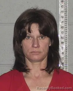 Mugshot of DONNA DEE BADEWITZ