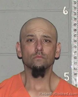 Mugshot of DUSTIN EARL HARRIMAN booked in Flathead County, Montana on May 24, 2026