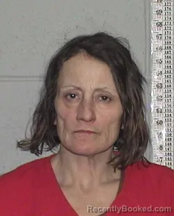 Mugshot of DAWN GAYLENE OWENS