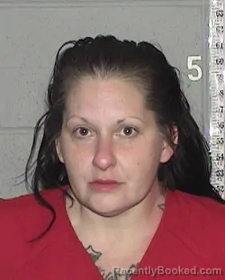 Mugshot of ERIKA MARIE ERNST booked in Flathead County, Montana on June 4, 2026