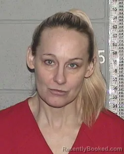 Mugshot of ERIN GAIL GRAVELIN