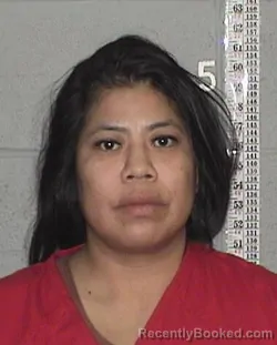 Mugshot of ELENA ROSE POTTER booked in Flathead County, Montana on April 5, 2026