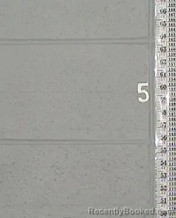 Mugshot of JOY ANNA BINGHAM